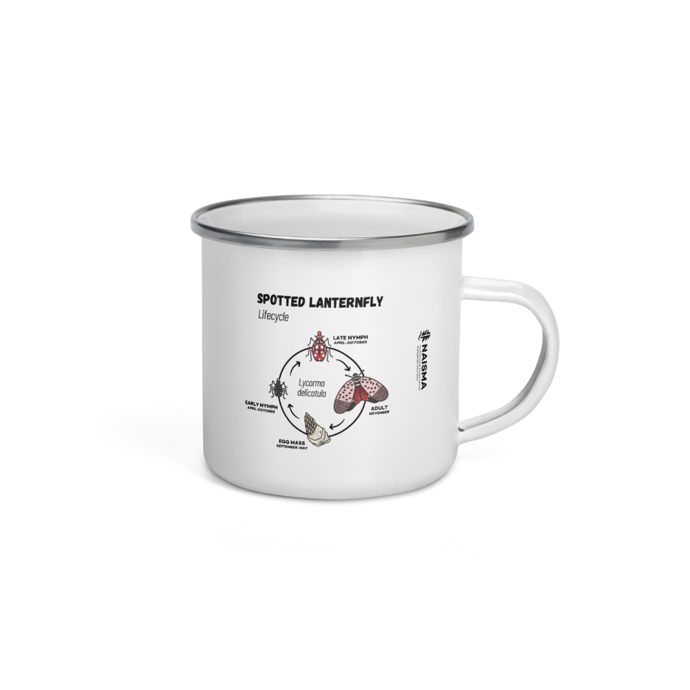 Know Your Invasives: Spotted Lanternfly Enamel Camp Mug