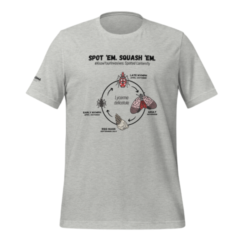 Know Your Invasives - Spotted Lanternfly Lifecycle T-shirt