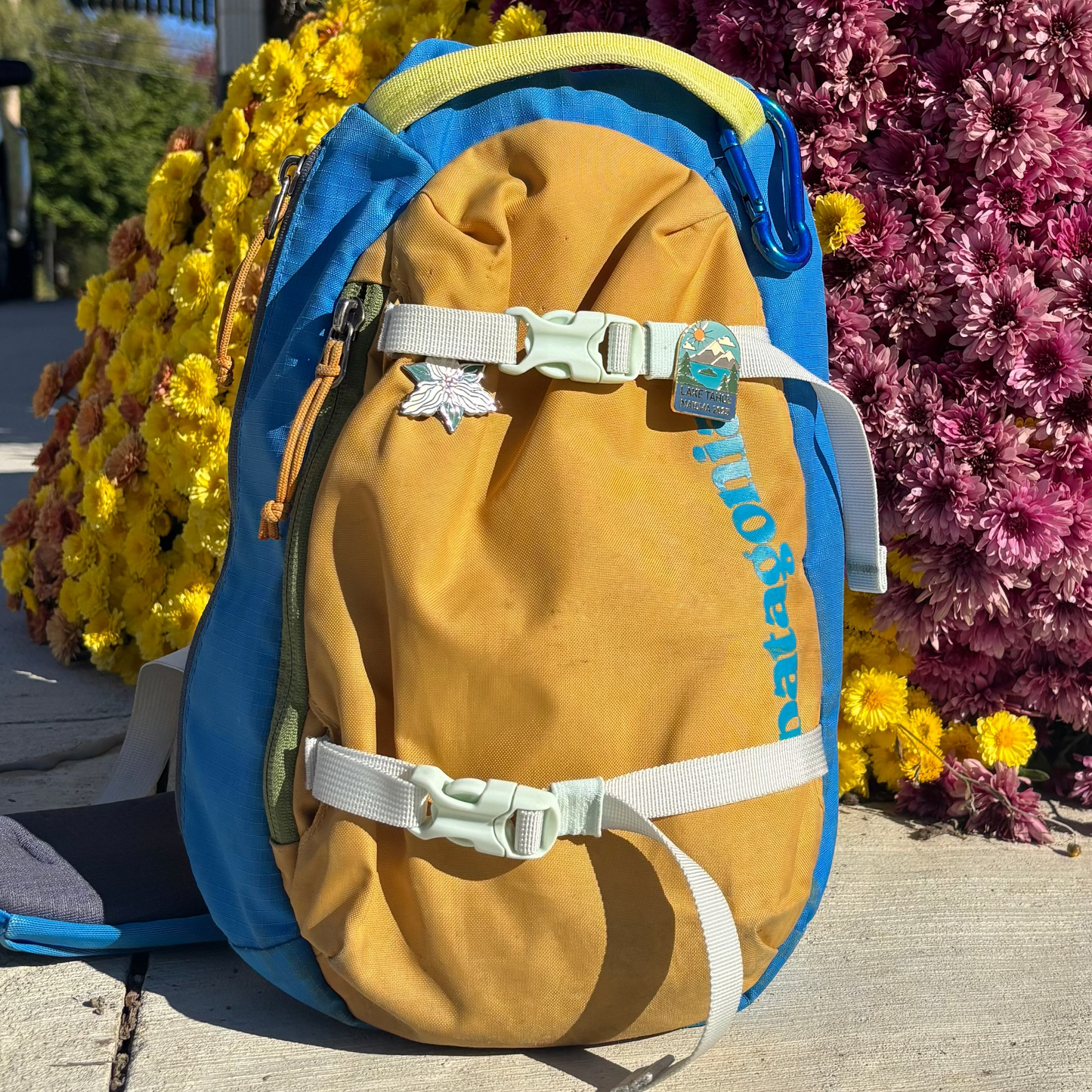 NAISMA 2025 Conference Pins - Limited Edition