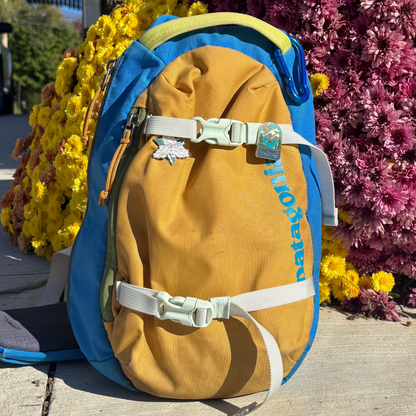 NAISMA 2025 Conference Pins - Limited Edition