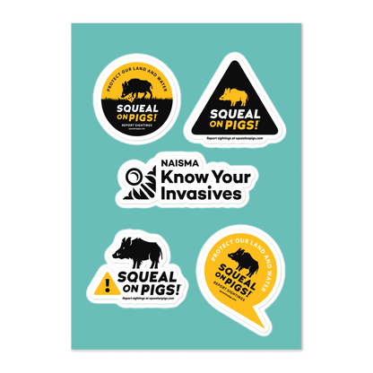 Know Your Invasives - Squeal on Pigs Sticker Sheet