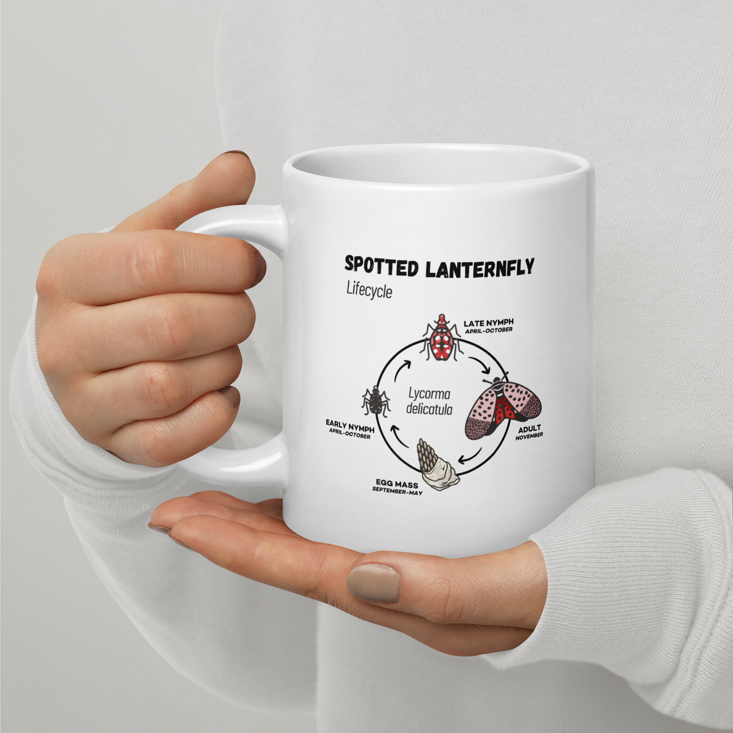 Know Your Invasives - Spotted Lanternfly 20oz Mug